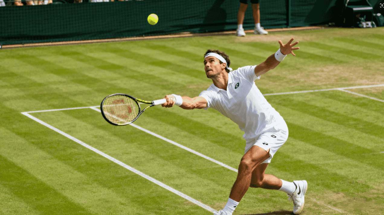 飞鸟VP官网最新下载安装指南与详细操作步骤全方位解析